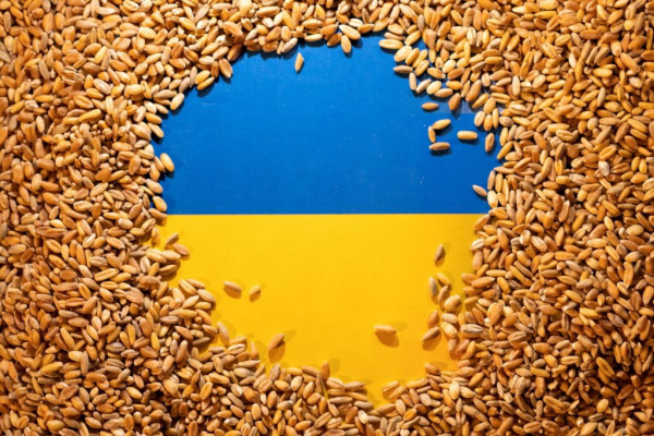 Хохлы: Ряд стран ЕС закроют границу для зерна из Украины после 15 сентября