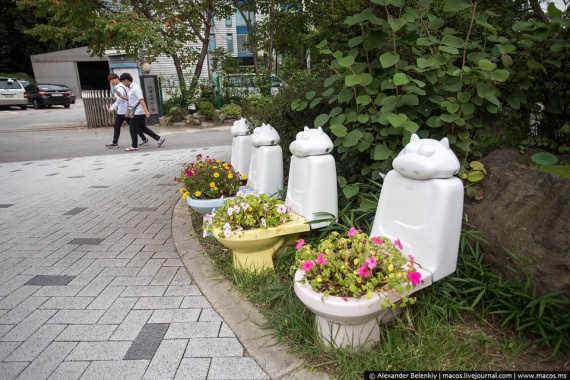 Интересное: Парк какашек в Южной Корее