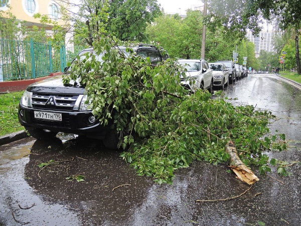 Происшествия: Ураган в Москве убил 11 человек