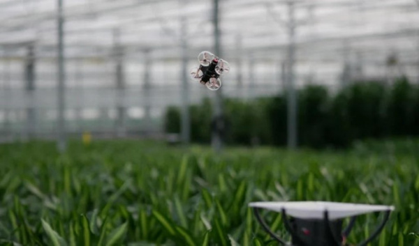 Интересное: Голландцы создали дроны против вредных насекомых