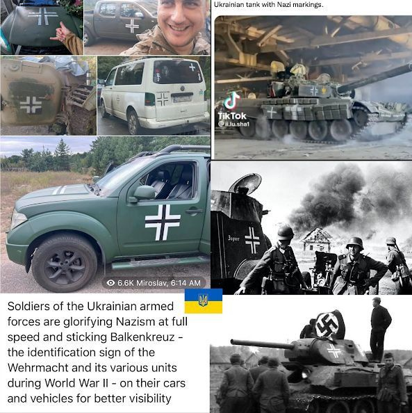 Хохлы: *На украине нацизма нет*