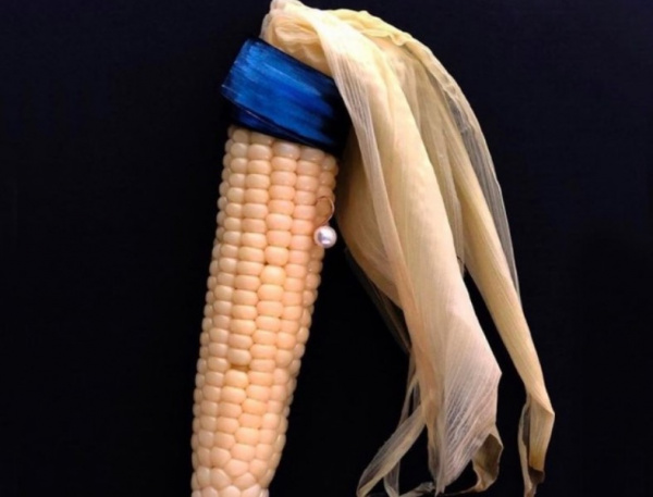 Блог kir: Кукуруза с жемчужной сережкой