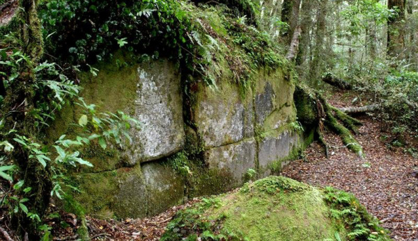 Интересное: Загадочная стена в Новой Зеландии