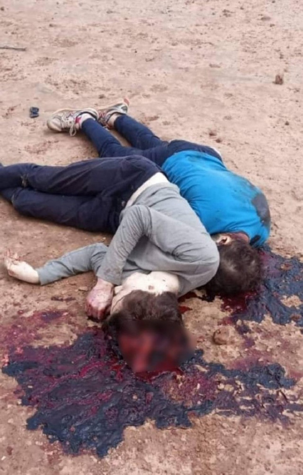 Терроризм: В Нигере были убиты туристы (+18)
