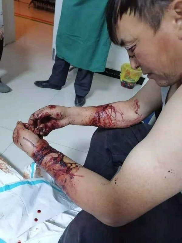 Происшествия: В Китае казах руками забил напавшего на него волка