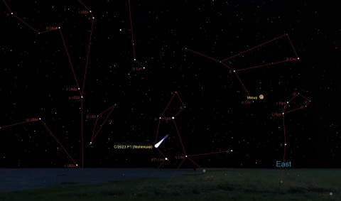 Интересное: В небе можно наблюдать комету Нисимура